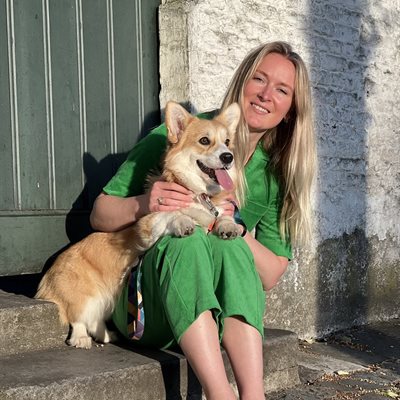 Cookie the corgi